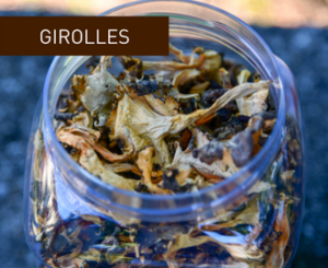 girolles