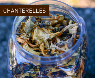 chanterelles