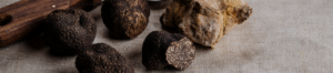 TRUFFES.ANDESOL